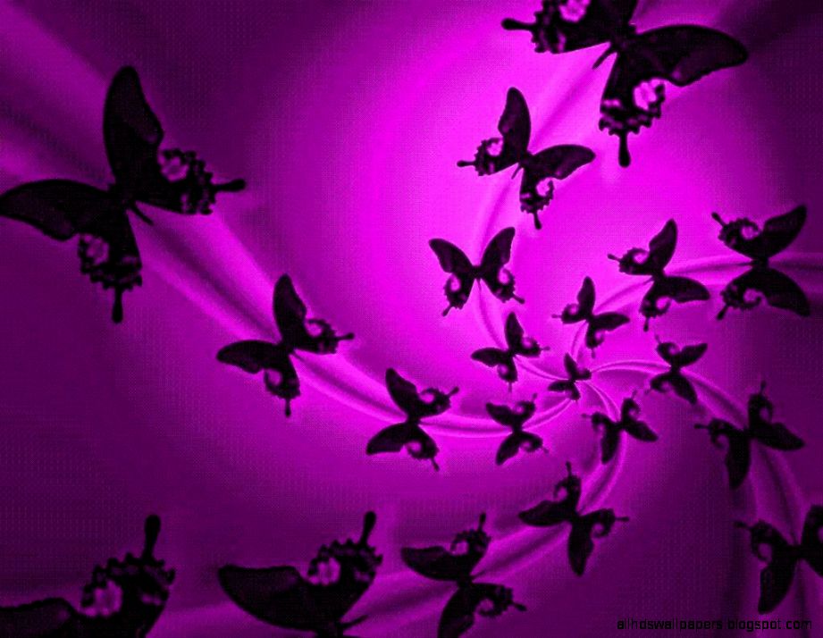 Purple Butterfly Screensaver