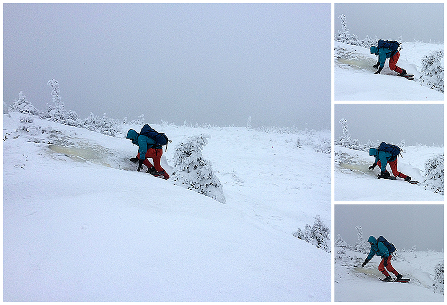 What's The Meaning Of Saddleback at Denver Lovejoy blog