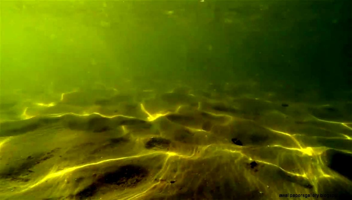 441 Underwater view of the lake and its lake bed   YouTube