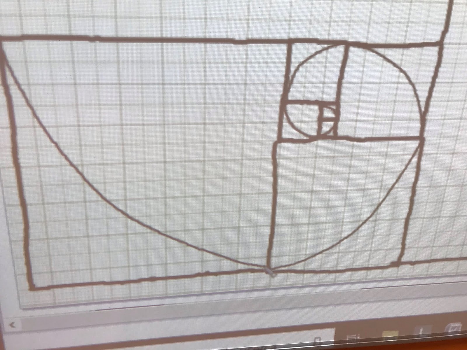 Il Fibonacci Day e la spirale "magica"!