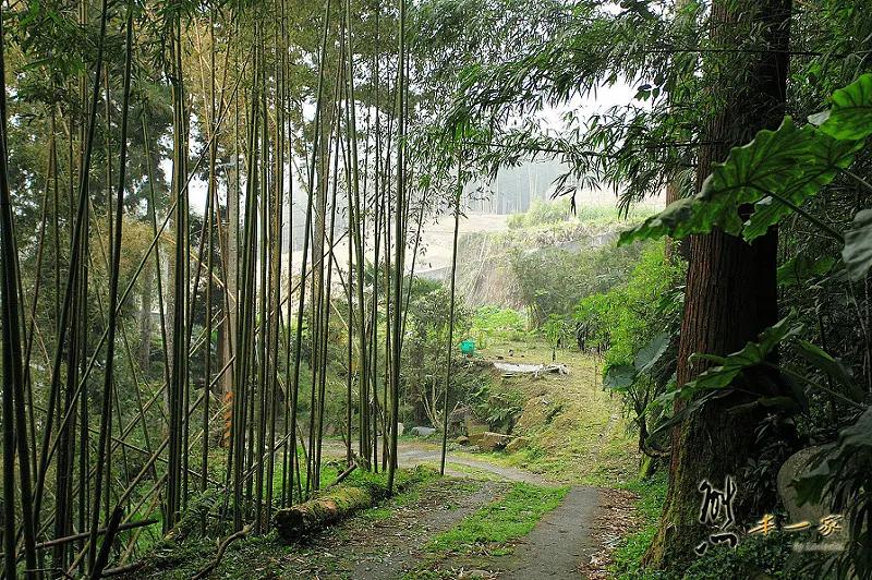 奮起湖石棹景點|龍雲休閒農場森林步道|鐵達尼石 五彩石