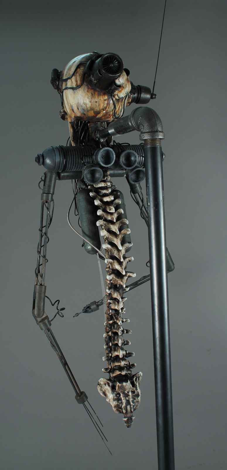 Death Wraith for Violent Starr Film