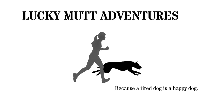 lucky mutt lucky mutt