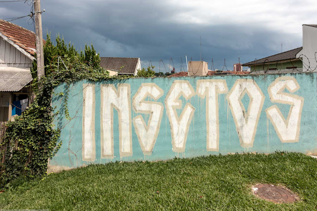 Grafismo em muro com a palavra "insetos"