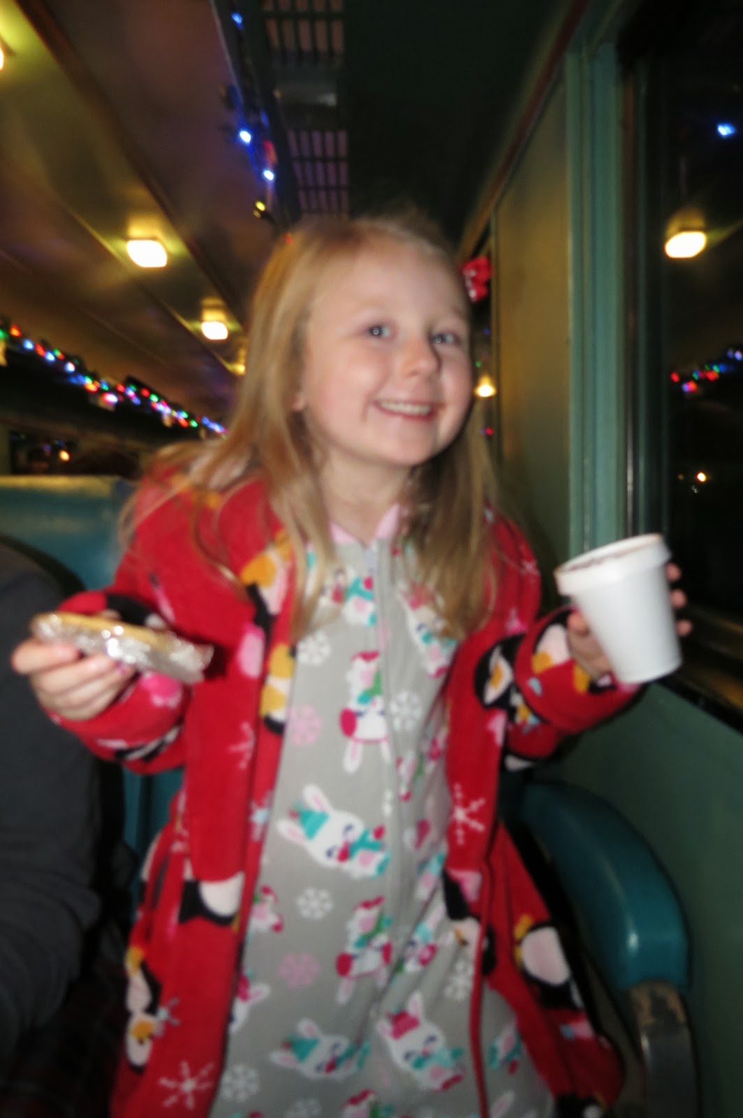 Wide Open Spaces: All Aboard The Polar Express