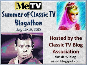 MeTV Summer of Classic TV Blogathon