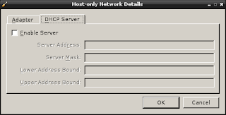 screenshot of the host only network DHCP screen