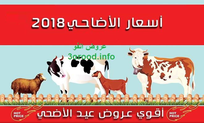 اسعار اضاحى العيد 2018 سعر خروف العيد سعر الجدى سعر العجول اسعار اضاحى العيد 2018 سعر خروف العيد سعر الجدى سعر العجول