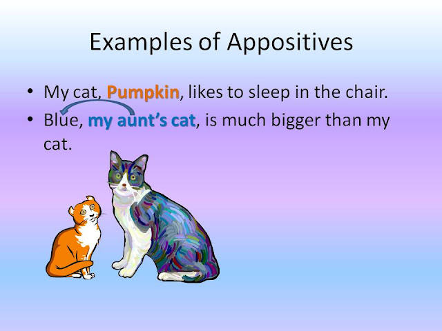 Examples of appositives: "My cat, Pumpkin, likes to sleep in the chair," and "Blue, my aunt's cat, is much bigger than Pumpkin."