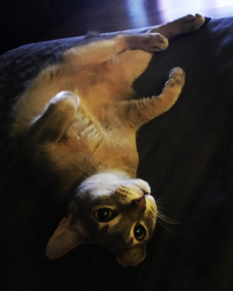 %25ED%2581%25AC%25EA%25B8%25B0%25EB%25B3