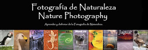 Revistas - Libros - Portfolios - Vídeos - Artículos - Formación