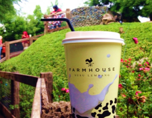 Beli Tiket dapat susu gratis di Farm House Susu Lembang Beli Tiket dapat susu gratis di Farm House Susu Lembang