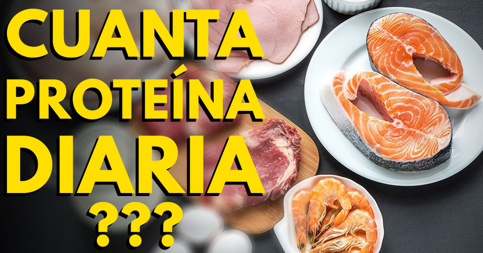 Que cantidad de proteína, se debe consumir Recetas que Adelgazan