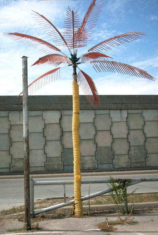 Altered Book Lover Silent Sunday Kansas' Home Grown Palm Trees