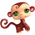 Littlest Pet Shop Gift Set Monkey (#590) Pet
