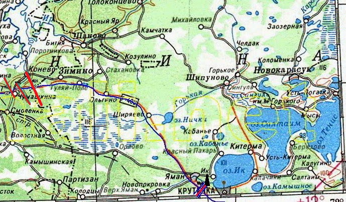 Крутинский район омской области карта