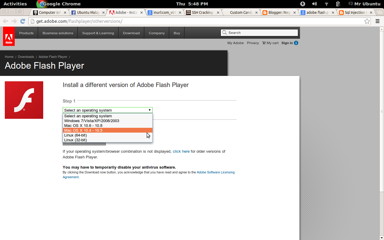 Включите adobe flash. Flash Player игры. Эмулятор Adobe Flash Player. Браузеры с Flash Player для слабых ноутбуков. Листик дерева для адобе флеш плеер.