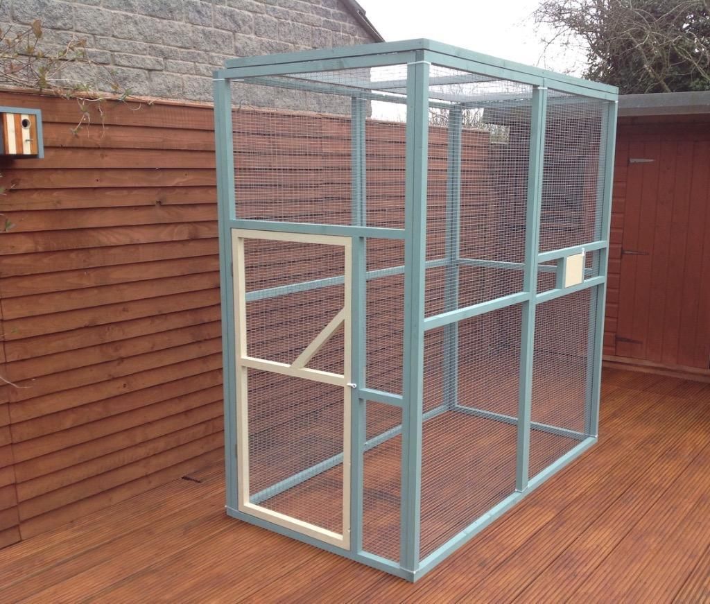 Bird In Everything Bird Enclosures