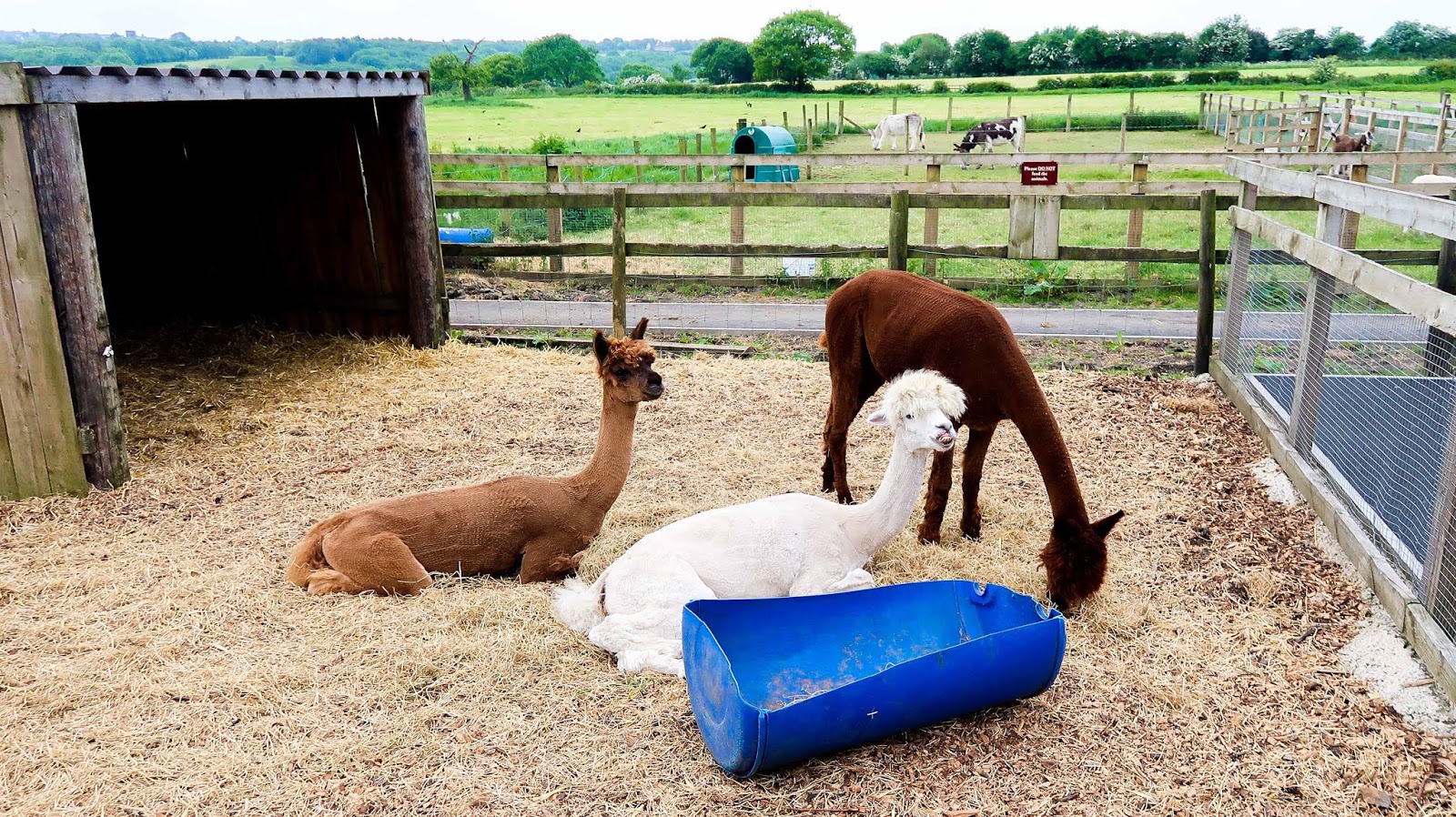 Home Family Life Family Day Out Play Area at Tong Garden