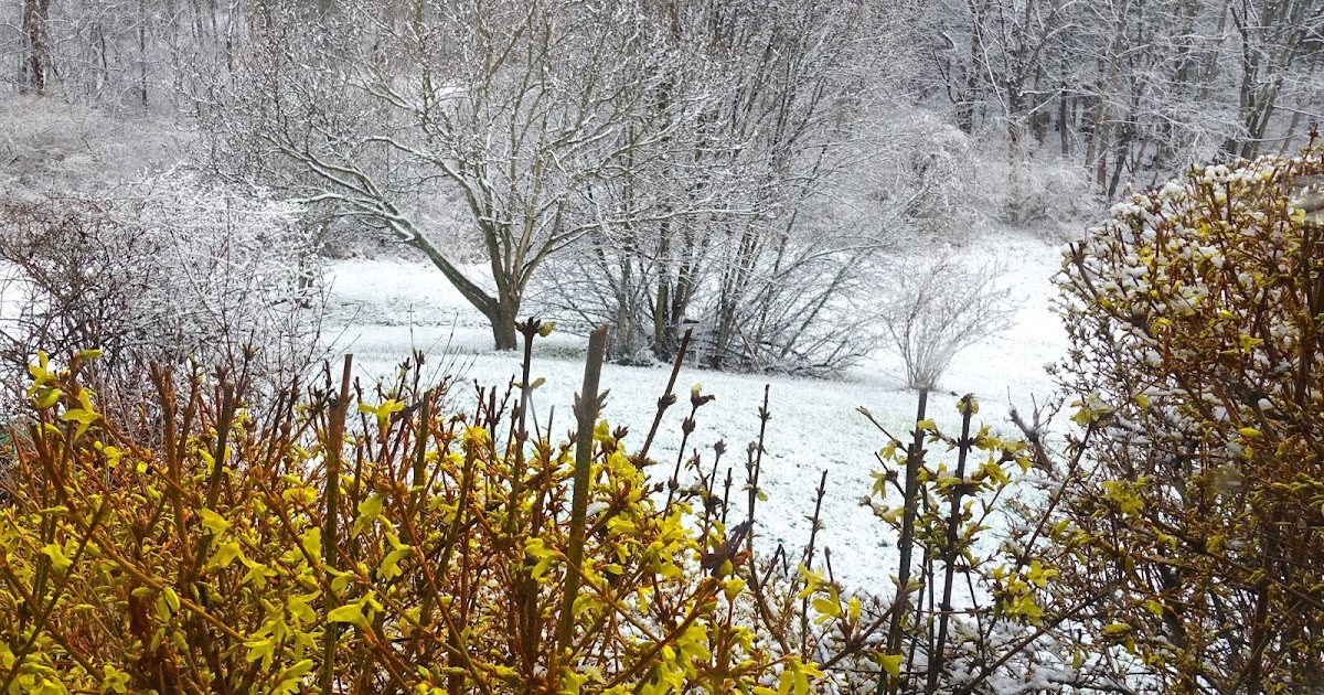 Joe's Retirement Blog Spring Snowfall, Ithaca, New York, USA