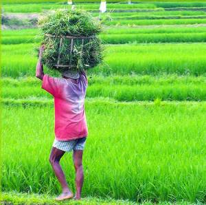 Belajar Dengan Alam | Sulhan Gallery