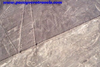 Sobrevolar las figuras y lineas de Nazca en Perú