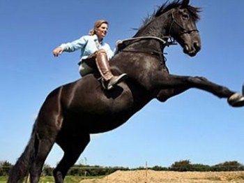 11 Arti Mimpi Melihat Kuda Hitam Menurut Primbon Jawa Terlengkap Seribu Mimpi