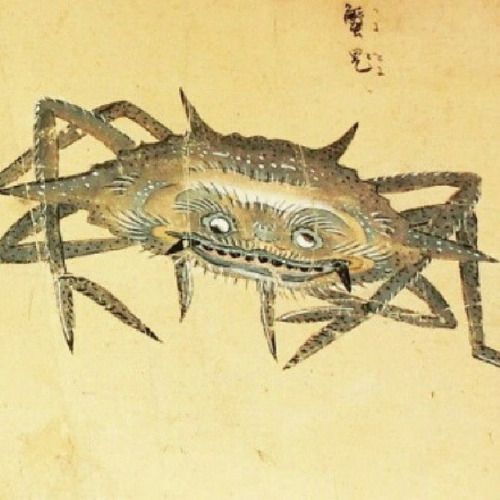 The Echinoblog Japanese Invertebrates, Spirits & Monsters! Animals that inspire yokai (妖怪) & more!