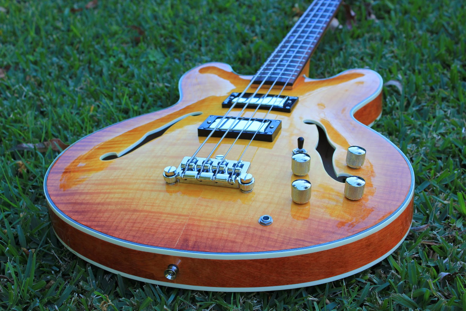 Guitar Kit Builder 335 Semihollow Bass She's a Stunner!