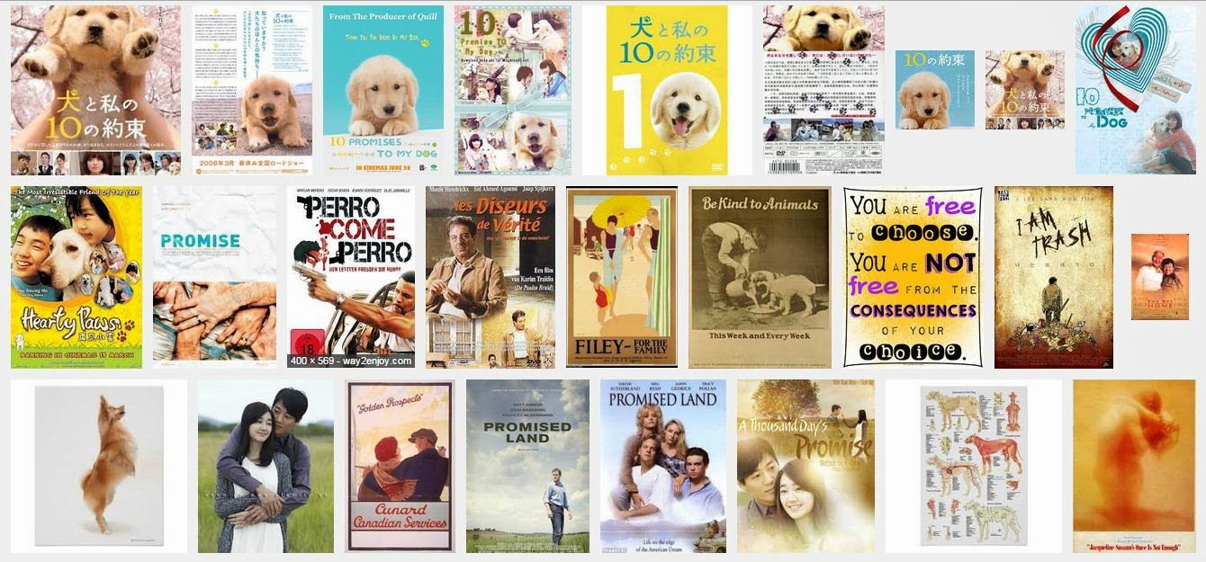 Xem phim 10 Promises To My Dog - 10 lời hứa d&agrave;nh cho ch&uacute; ch&oacute; của t&ocirc;i Vietsub