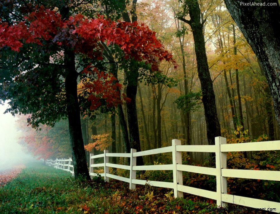 FunMozar – Nice Wallpapers