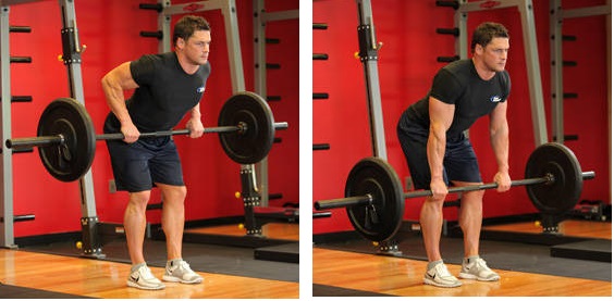 Bent over Barbell Rows упражнение