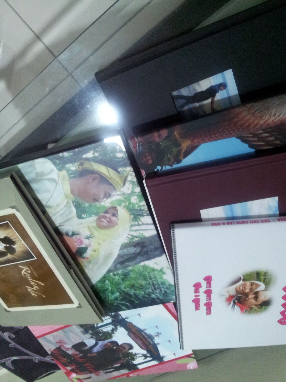 DUNIA PUANSTOBERI: January 2013