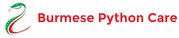 Burmese Python Care