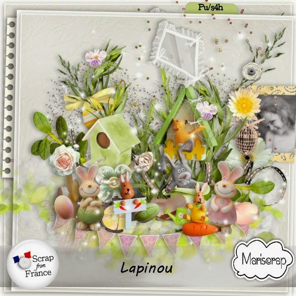 http://scrapfromfrance.fr/shop/index.php?main_page=product_info&cPath=88_91&products_id=5549