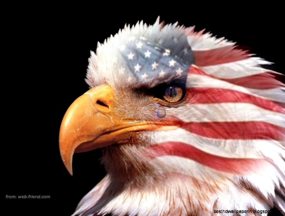 American Flag with Eagle