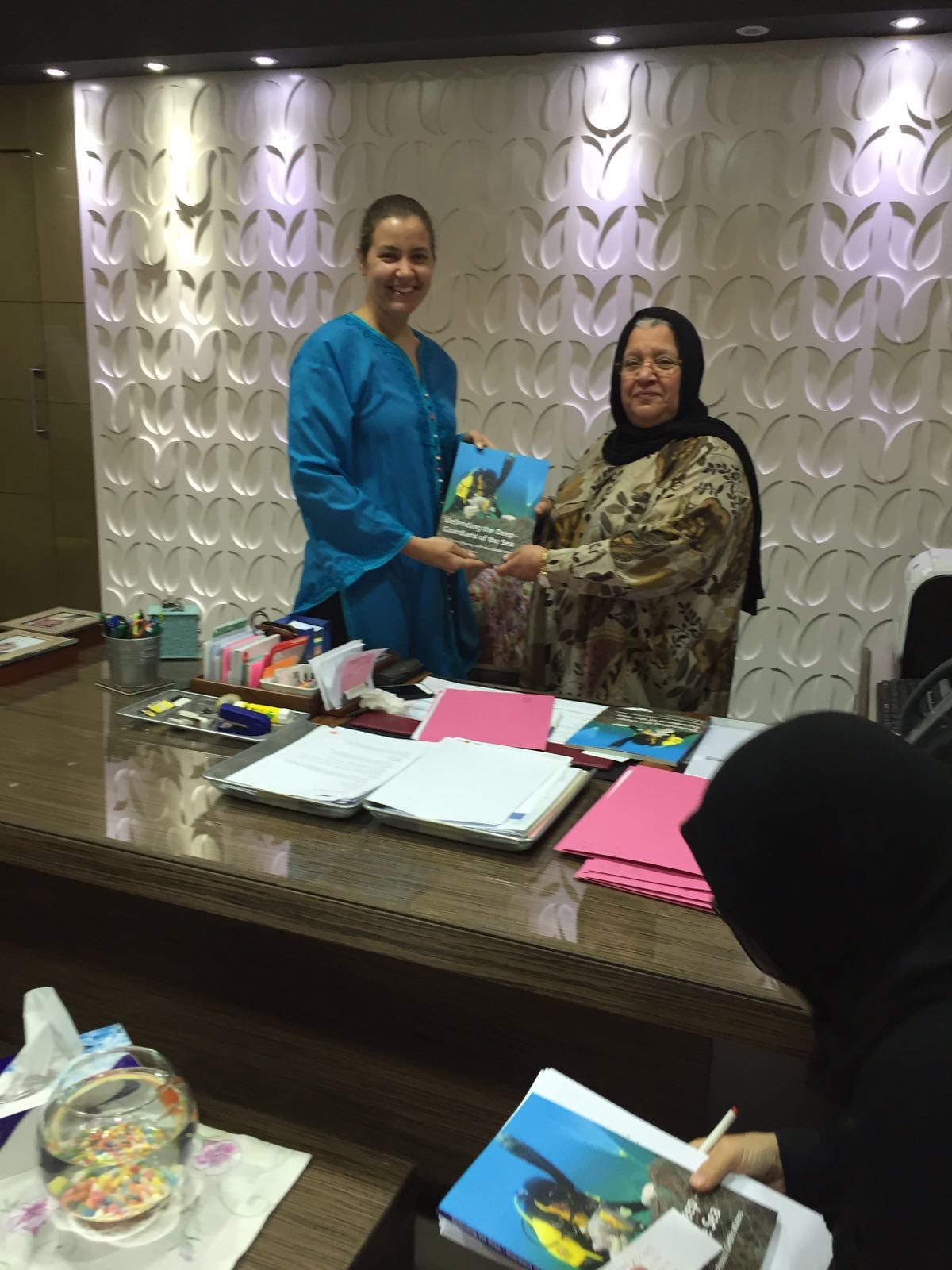 Just Call me Bex KDT Operation 7 HUBS