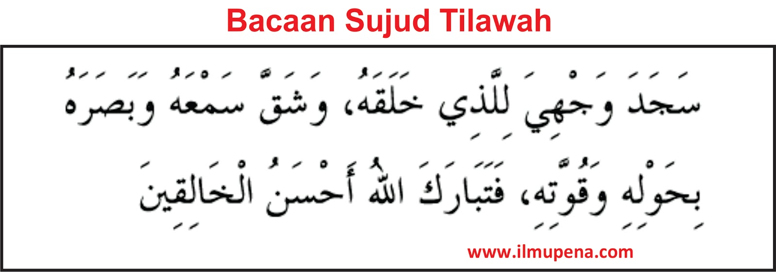 Pengertian Sujud Tilawah dan Tata Caranya