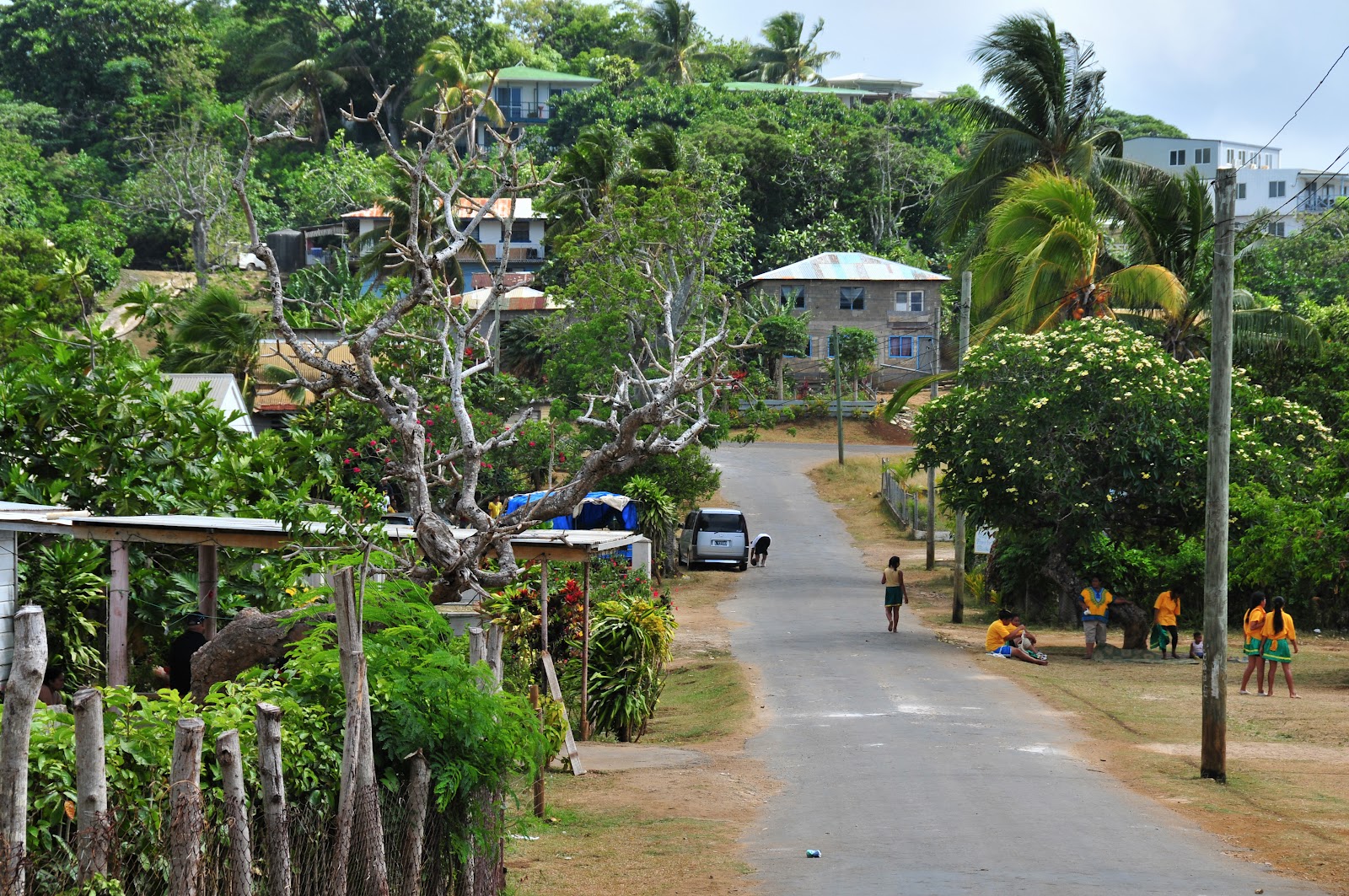 Travel & Adventures Tonga. A voyage to The kingdom of Tonga, Pacific