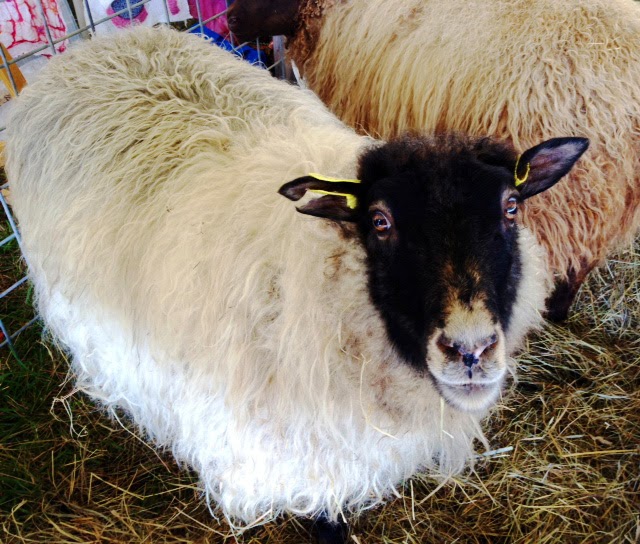 Dragonfly Fibers Fall Fiber Festival in Montpelier, Va