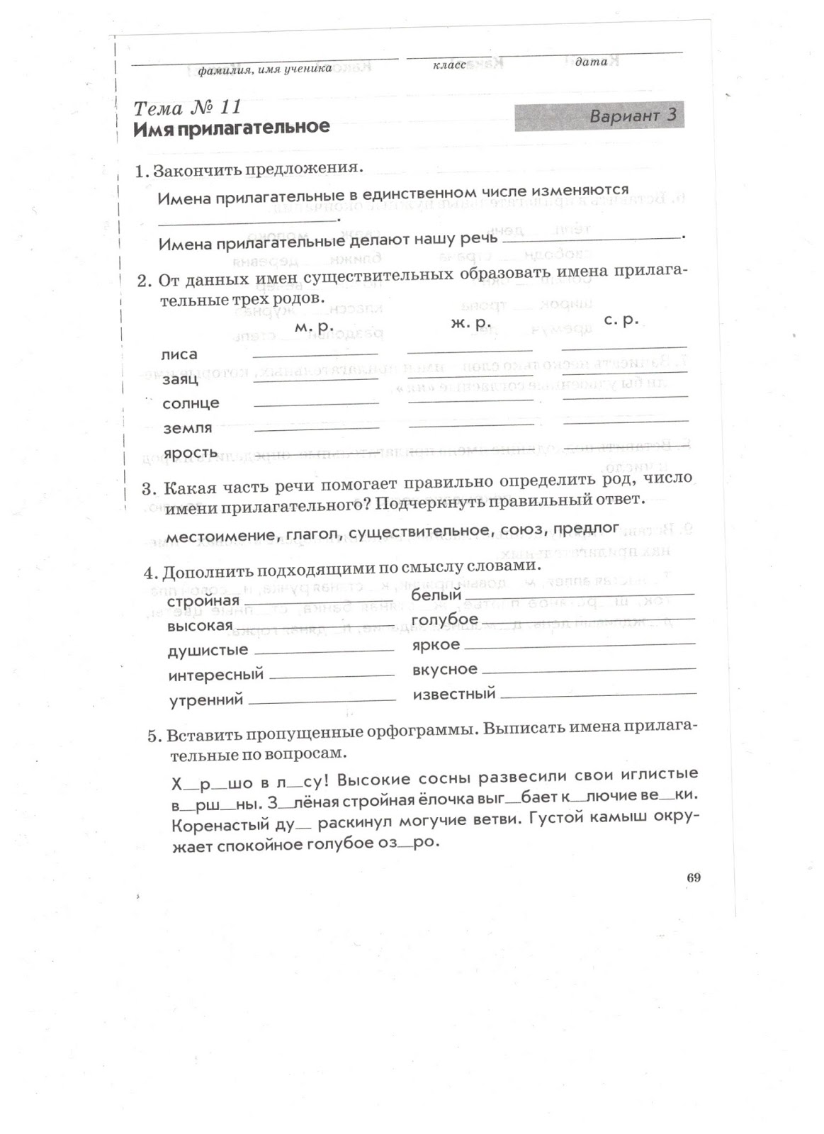 Русский язык тема 11 вариант 1