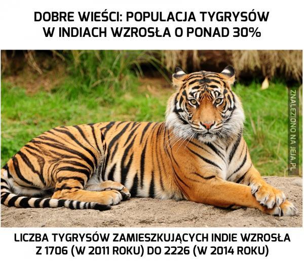 Dlaczego mamy takie państwo ?