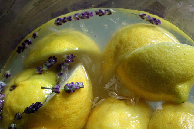 Fresh Lavender Lemonade Recipe #lavenderfreakweek