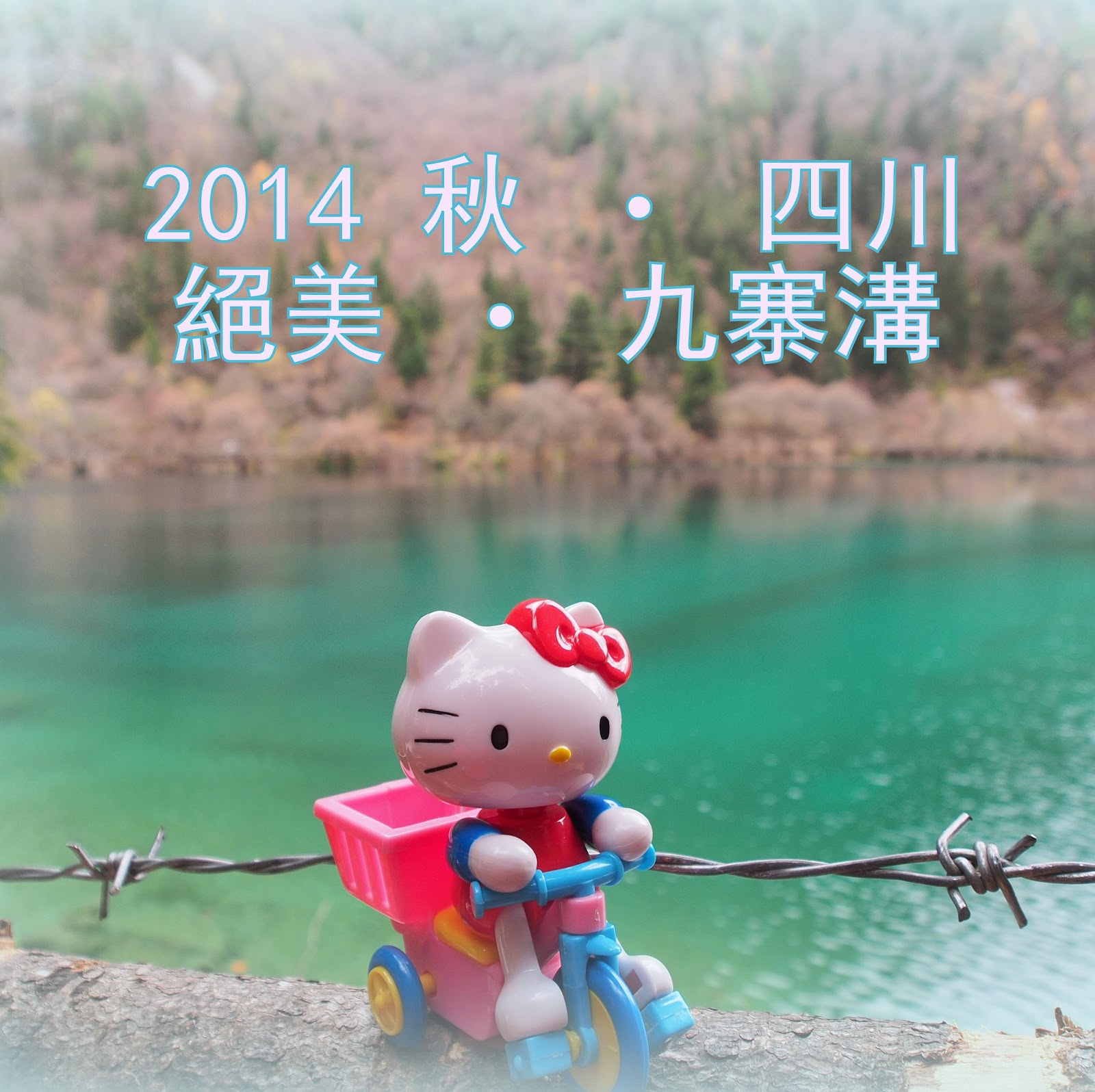 http://ivytao.blogspot.hk/2014/11/2014-day-1.html