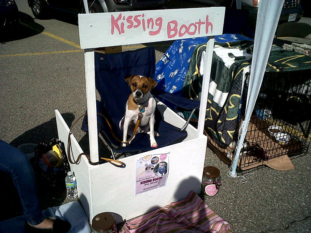 Emily's Animal Rescue Journey: Petco Adoptathon and Kissing Booth a