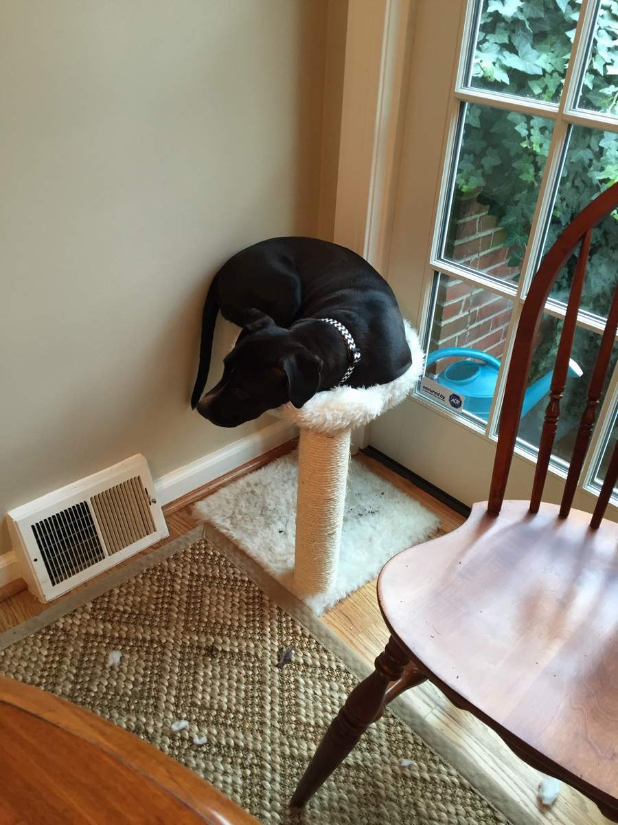 Картинки здесь никого нет. Что нет дома. Незнакомец стучит в дверь. Родителей нет дома мем. Никого нет дома картинка.