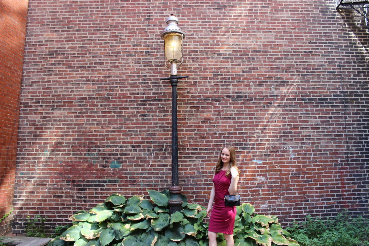 Shake the Tree Boston: Red Velvet Fall Dress