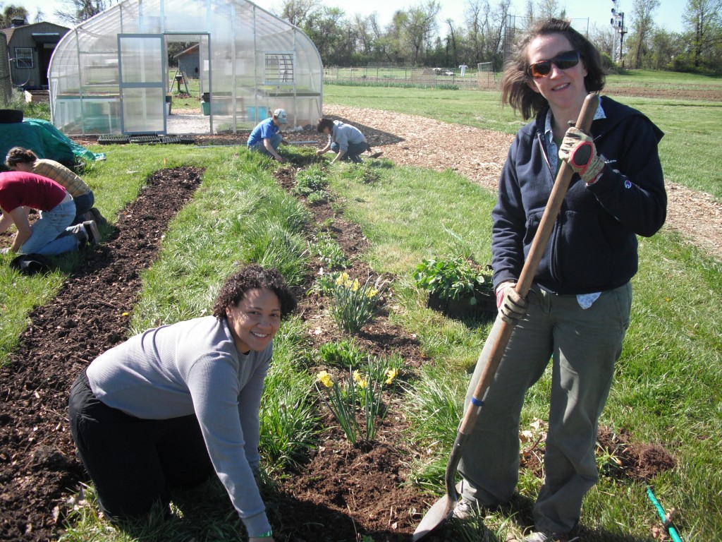 Facing up to Global Warming How Far Would You Go for Your Food?