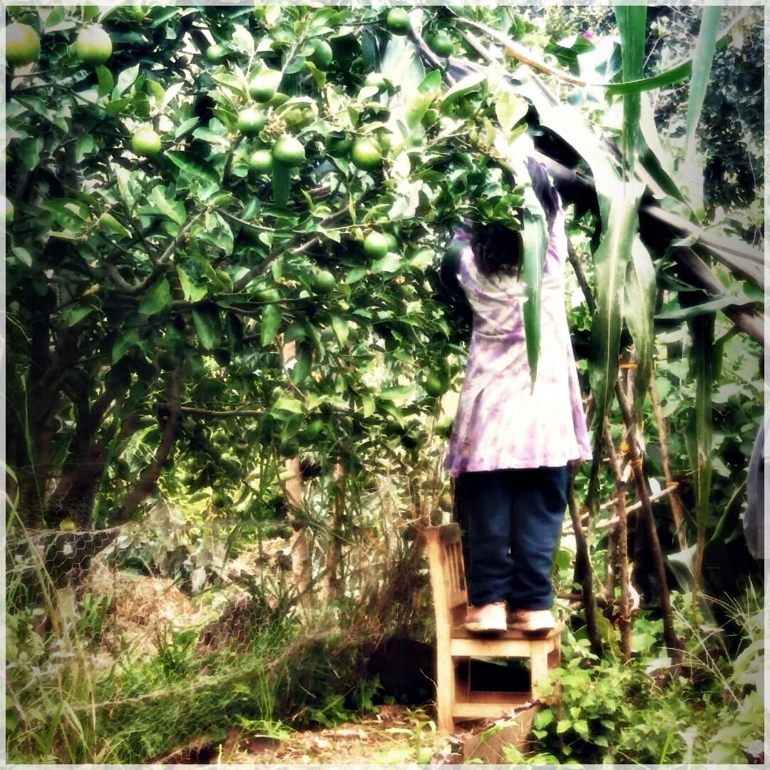 GrowSomething-94967547105