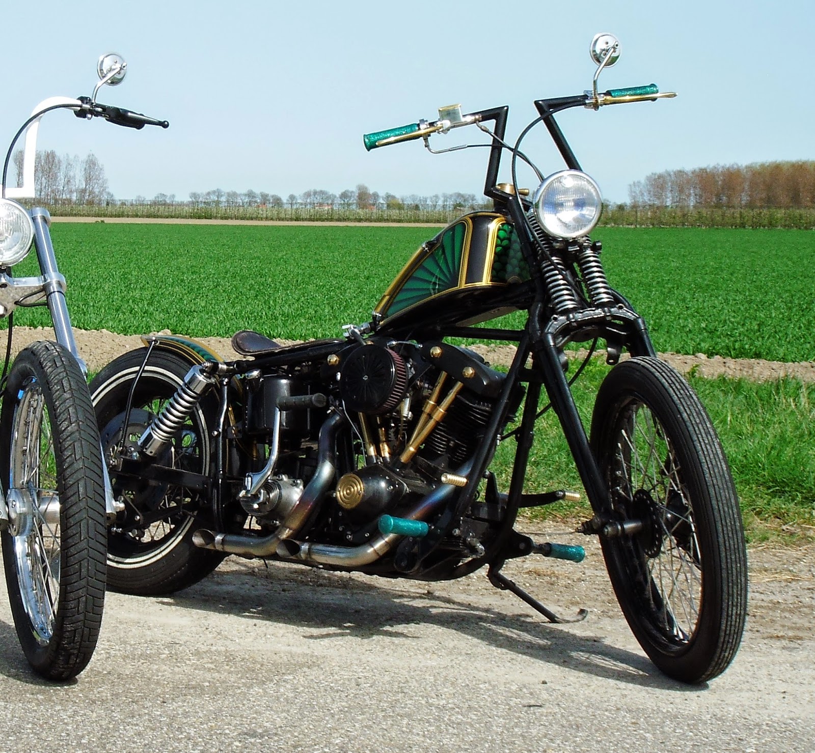 TD CHOPPERPARTS Erik's bike